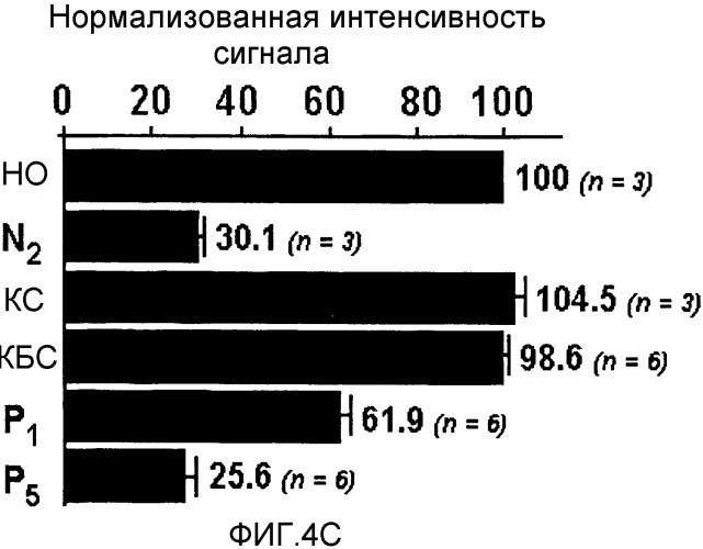 Сенсибилизированный оперативный bold-mri способ получения изображения (патент 2343829)