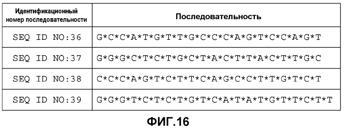 Лечение сиртуин 1 (sirt1)-связанных заболеваний путем ингибирования натурального антисмыслового транскрипта (патент 2551234)