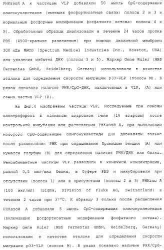 Композиции, содержащие cpg-олигонуклеотиды и вирусоподобные частицы, для применения в качестве адъювантов (патент 2322257)