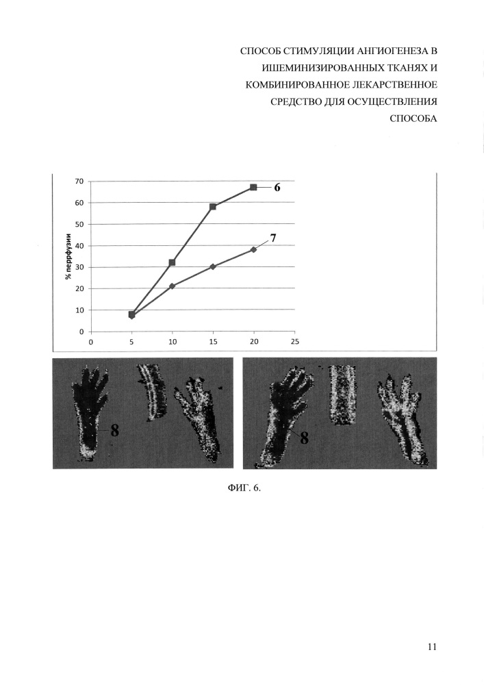 Способ стимуляции ангиогенеза в ишеминизированных тканях и комбинированное лекарственное средство для осуществления способа (патент 2628706)