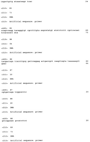 Бактерия - продуцент 1-бутанола и способ получения 1-бутанола (патент 2431672)