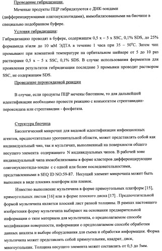 Дифференцирующий и специфический олигонуклеотиды для идентификации последовательностей днк инфекционных агентов в биологических материалах, способ видовой идентификации инфекционных агентов, биочип и набор для осуществления этого способа (патент 2348695)