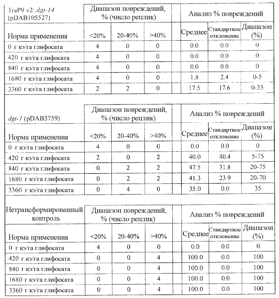 Синтетические транзитные пептиды хлоропласта из brassica (патент 2636035)