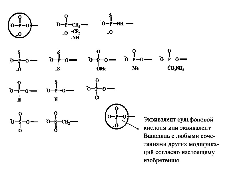 Липосомы с ретиноидом для усиления модуляции экспрессии hsp47 (патент 2628694)