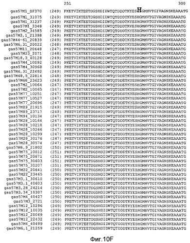Мутантные антигены gas57 и антитела против gas57 (патент 2471497)