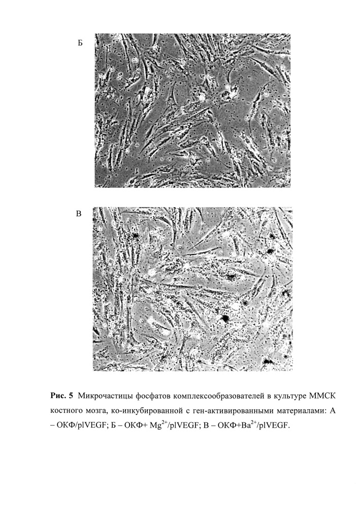 Способ получения оптимизированного твердого ген-активированного материала, способ получения твердого матрикса носителя, оптимизированный твердый ген-активированный материал для регенерации тканей (патент 2623171)