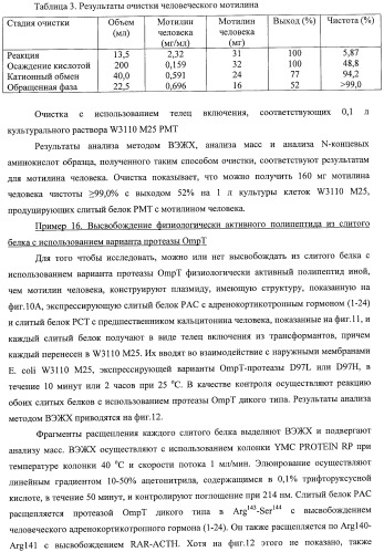 Способ расщепления полипептидов с использованием варианта протеазы оmpт (патент 2395582)