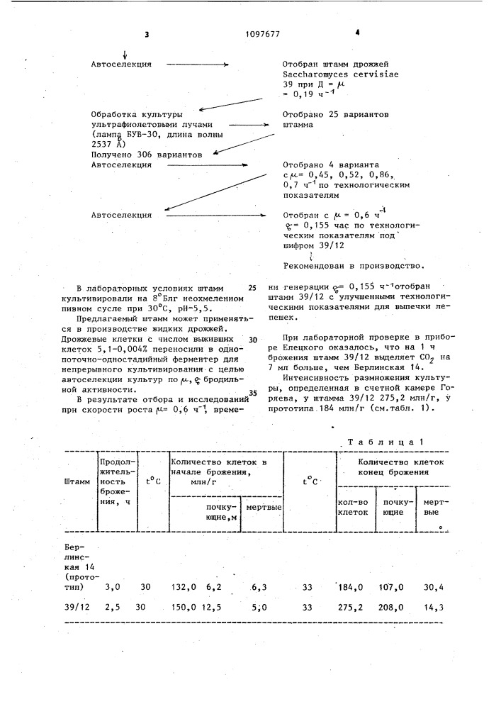 Штамм дрожжей @ @ 39/12 (патент 1097677)