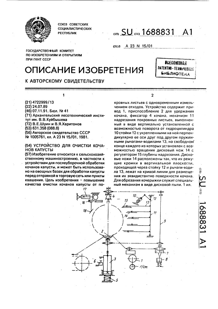 Устройство для очистки кочанов капусты (патент 1688831)