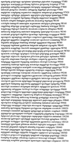 Модуляция экспрессии гентингтина (патент 2562861)