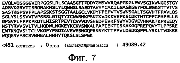 Антитела к dr5 и их применения (патент 2458072)