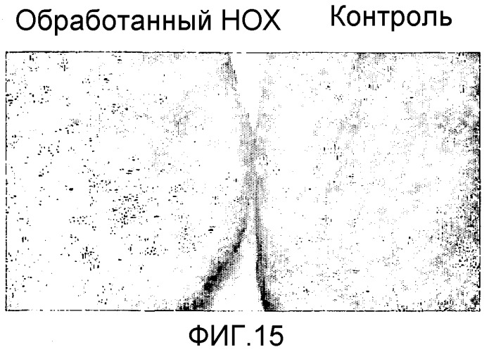 Способ предотвращения или уменьшения реакции майяра в пищевом продукте, применение фермента для этого и пищевой продукт, полученный этим способом (патент 2312569)