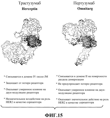 Терапия злокачественной опухоли, резистентной к препаратам на основе платины (патент 2403065)