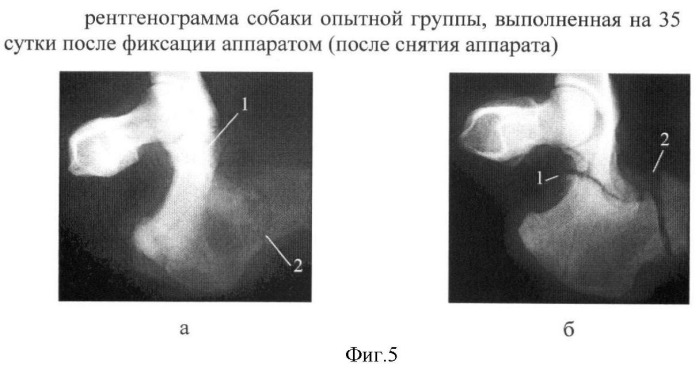 Средство для лечения заболеваний опорно-двигательного аппарата человека и животных, в том числе переломов костей и заболеваний, связанных с дефицитом кальция в организме, на основе соли кальция (патент 2416415)