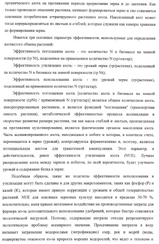 Изолированные полипептиды, кодирующие их полинуклеотиды, экспрессирующие их трансгенные растения и способы их использования (патент 2425151)