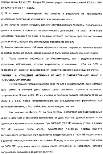 Фармацевтический препарат и способ лечения злокачественных опухолей у человека с помощью аргининовой депривации (патент 2335539)