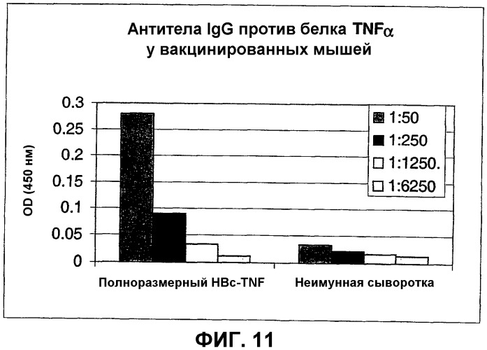 Композиция и способ для иммунизации, способ продуцирования неприродного упорядоченного и повторяющегося массива антигенов (патент 2438701)