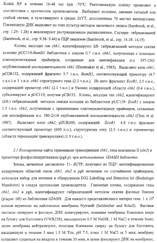 Модифицированная ксиланаза (патент 2394909)