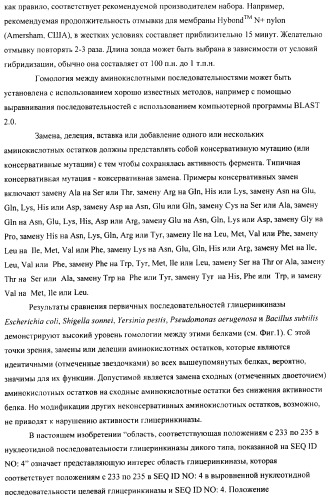 Способ получения l-аминокислот методом ферментации с использованием бактерий, обладающих повышенной способностью к утилизации глицерина (патент 2374322)