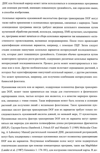 Растения, имеющие улучшенные характеристики роста, и способы их получения (патент 2463352)