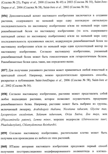 Набор последовательностей для таргетинга экспрессии и контроля посттрансляционных модификаций рекомбинантного полипептида (патент 2481399)