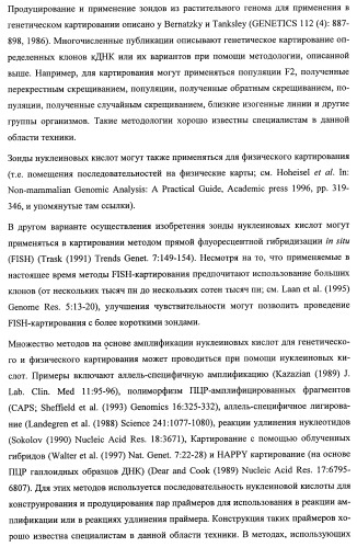 Растения, имеющие улучшенные характеристики роста, и способы их получения (патент 2463352)