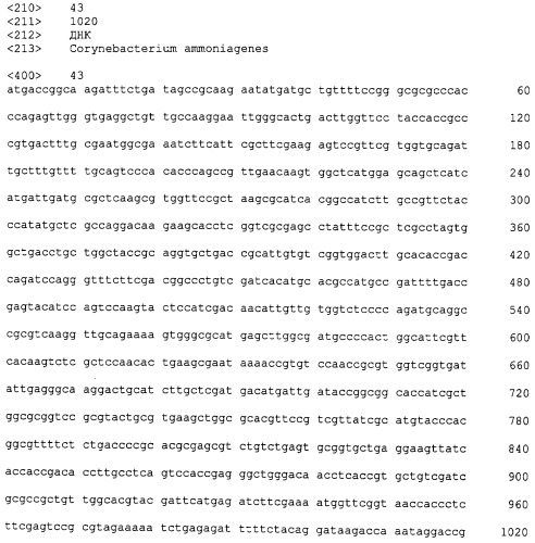 Микроорганизмы corynebacterium с повышенной продукцией 5&#39;- инозиновой кислоты и способ получения нуклеиновых кислот с их использованием (патент 2482178)