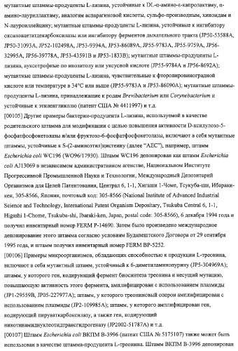 Использование фосфокетолазы для продукции полезных метаболитов (патент 2322496)