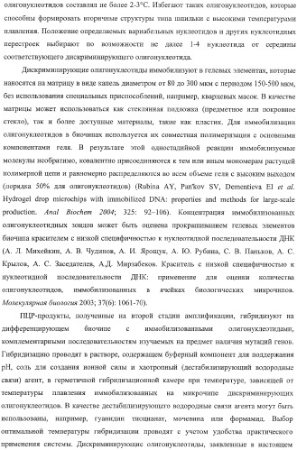 Способ одновременного обнаружения микобактерий туберкулезного комплекса и идентификации мутаций в днк микобактерий, приводящих к устойчивости микроорганизмов к рифампицину и изониазиду, на биологических микрочипах, набор праймеров, биочип и набор олигонуклеотидных зондов, используемые в способе (патент 2376387)