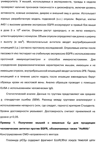 Человеческие моноклональные антитела к рецептору эпидермального фактора роста (egfr), способ их получения и их использование, гибридома, трансфектома, трансгенное животное, экспрессионный вектор (патент 2335507)