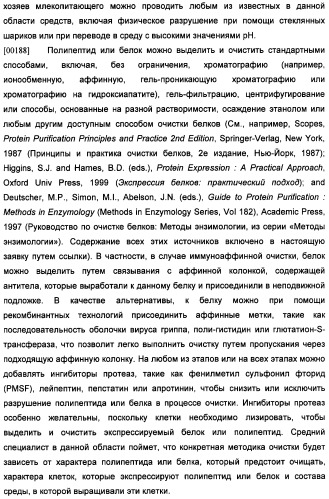 Получение антител против амилоида бета (патент 2418858)