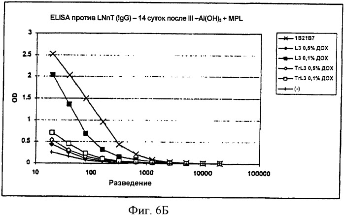 Вакцинные композиции, содержащие липополисахариды иммунотипа l2 и/или l3, происходящие из штамма neisseria meningitidis igtb- (патент 2364418)