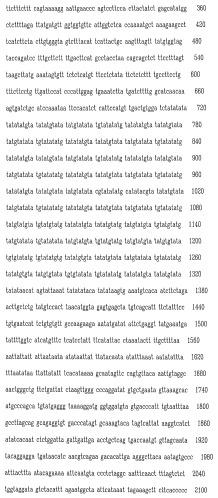 Экспрессионная система для повышения уровня экспрессии гена, молекула нуклеиновой кислоты, клетка, трансгенное животное и набор (патент 2469089)