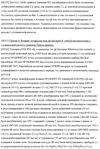 Использование фосфокетолазы для продукции полезных метаболитов (патент 2322496)