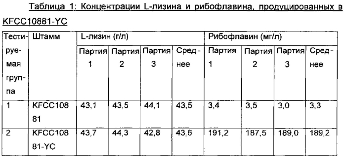 Микроорганизм для продуцирования одновременно l-аминокислоты и рибофлавина и способ производства l-аминокислоты и рибофлавина с его применением (патент 2588657)