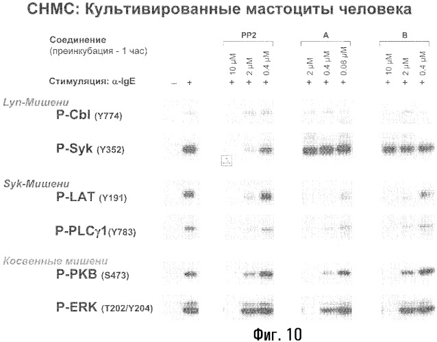 Способы лечения или профилактики аутоиммунных заболеваний с помощью соединений 2,4-пиримидиндиамина (патент 2376992)