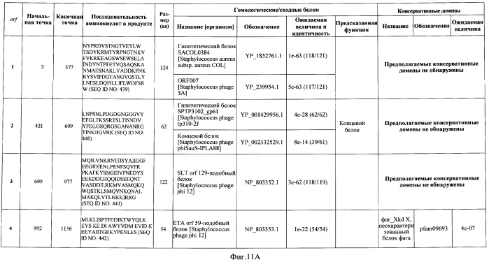 Бактериофаг, обладающий активностью против pseudomonas aeruginosa, белки бактериофага и способы их применения (патент 2580248)