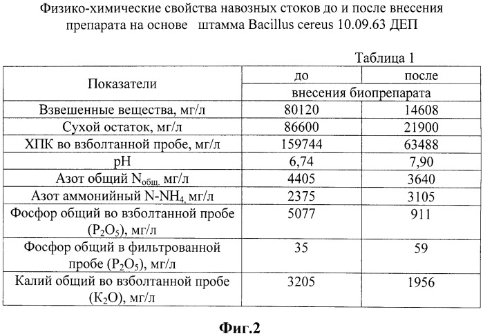 Способ биологической переработки отходов животных (патент 2491264)