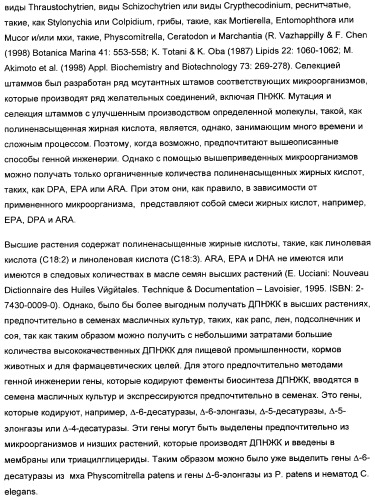 Способ получения полиненасыщенных жирных кислот в трансгенных растениях (патент 2449007)