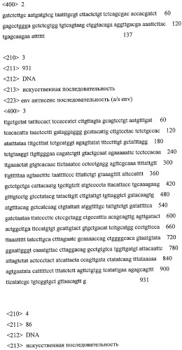 Генетические конструкции для антивич-терапии (патент 2426788)