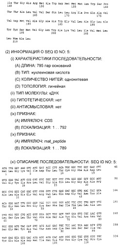 Очищенные белки оболочки вируса гепатита с для диагностического и терапевтического применения (патент 2313363)