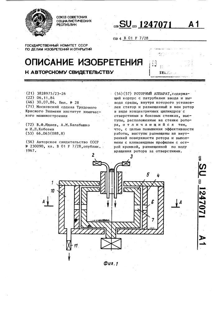 Роторный аппарат (патент 1247071)