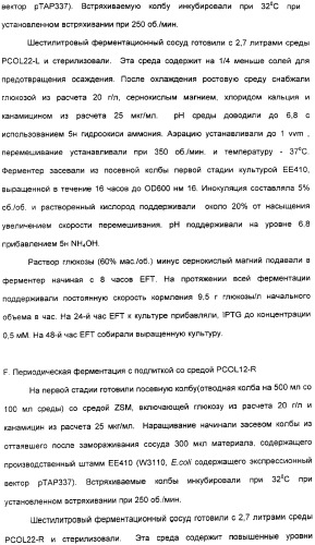 Продуцирование il-21 в прокариотических клетках-хозяевах (патент 2354703)