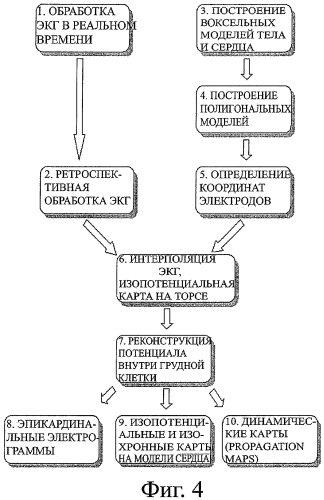 Способ неинвазивного электрофизиологического исследования сердца (патент 2435518)