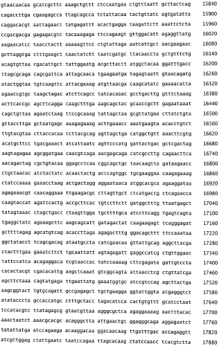 Бактериофаг, обладающий активностью против pseudomonas aeruginosa, белки бактериофага и способы их применения (патент 2580248)