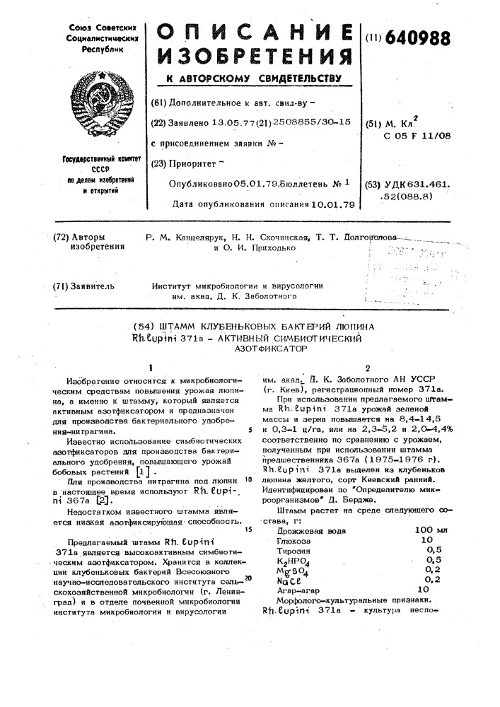 Штамм клубеньковых бактерий люпина -371аактивный симбиотический азотфиксатор (патент 640988)