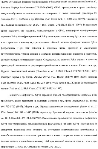 Антитела к гликопротеину vi и способы продуцирования и использования этих антител (патент 2407752)