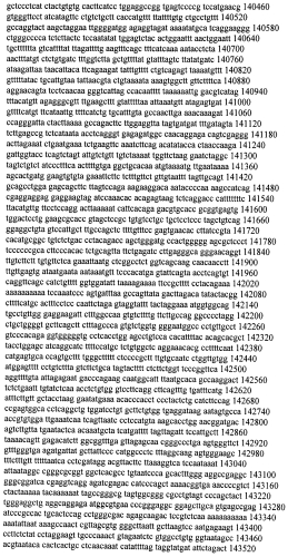 Модуляция экспрессии гентингтина (патент 2562861)