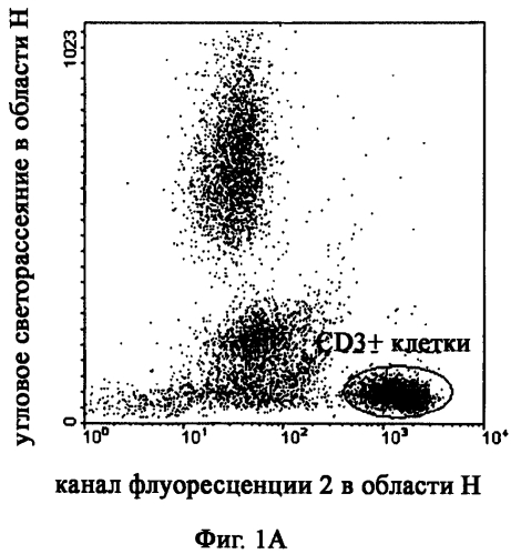 Антитела против cxcr4 для лечения инфекции вич (патент 2573902)