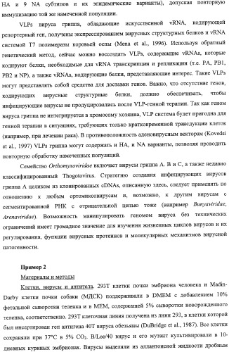 Выделенный рекомбинантный вирус гриппа и способы его получения (патент 2351651)